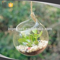 Hanging glass terrarium for home decor